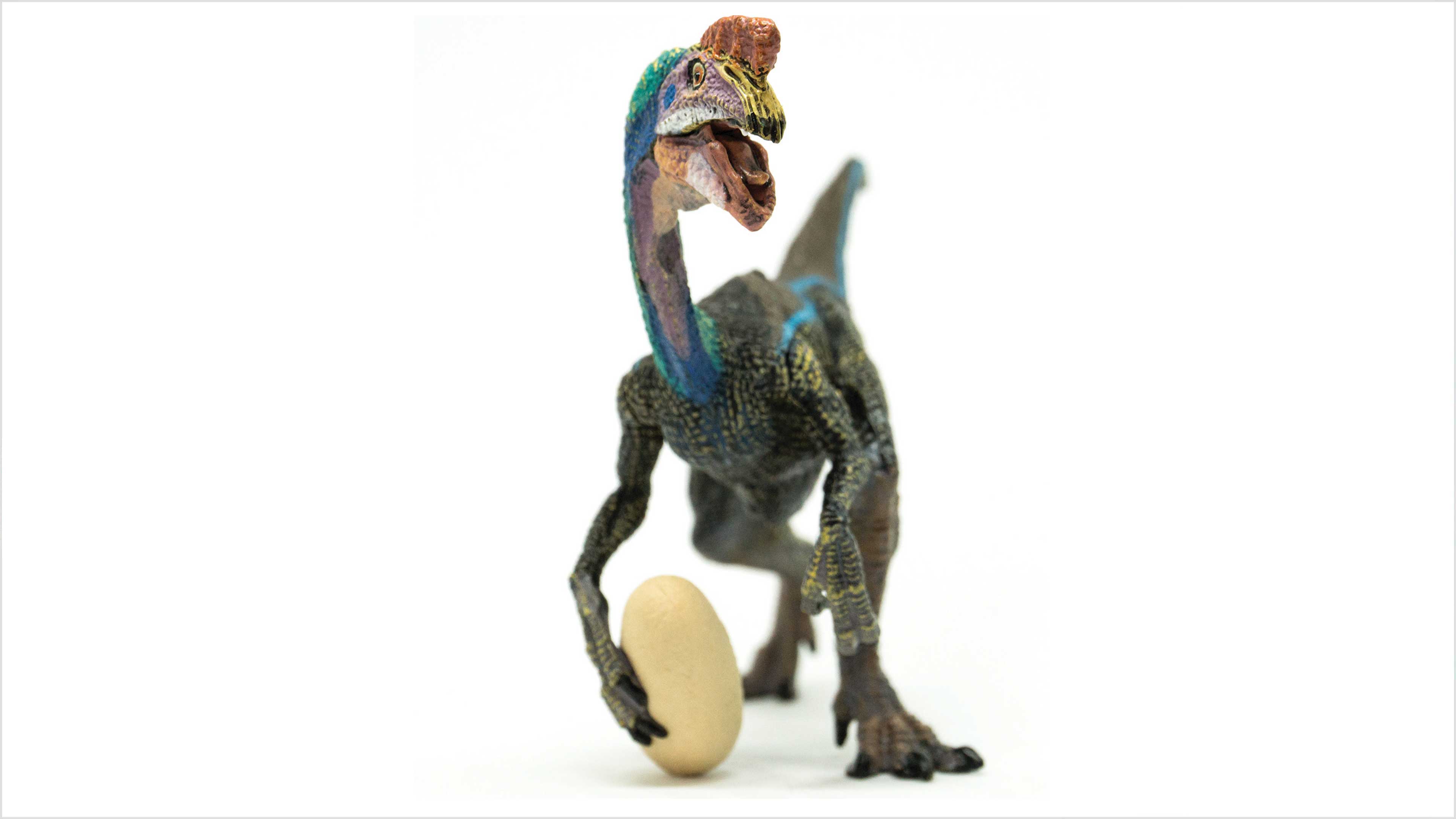 Embrión de dinosaurio en perfecto estado