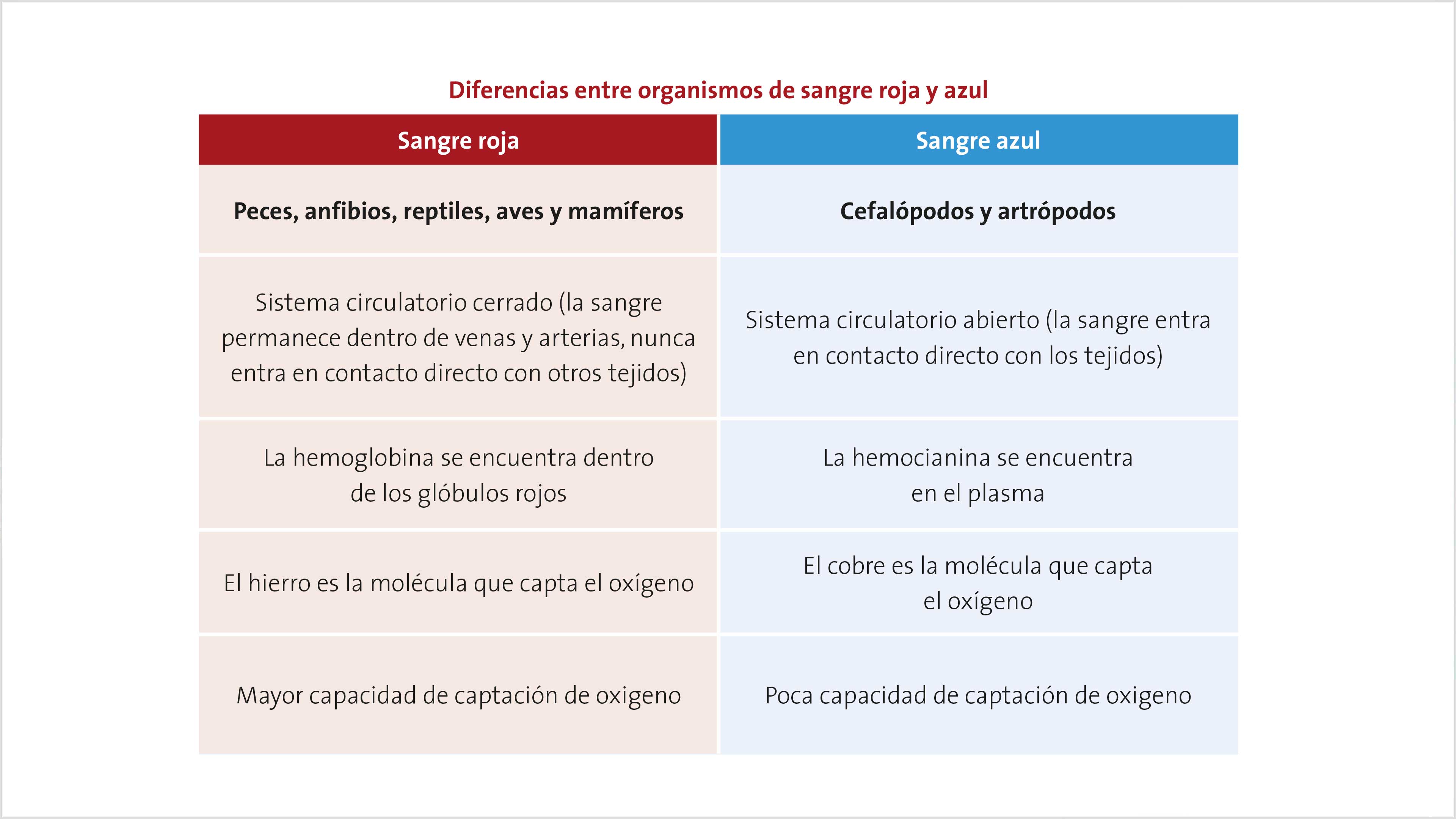 Sangre de colores: desde humanos hasta lagartijas