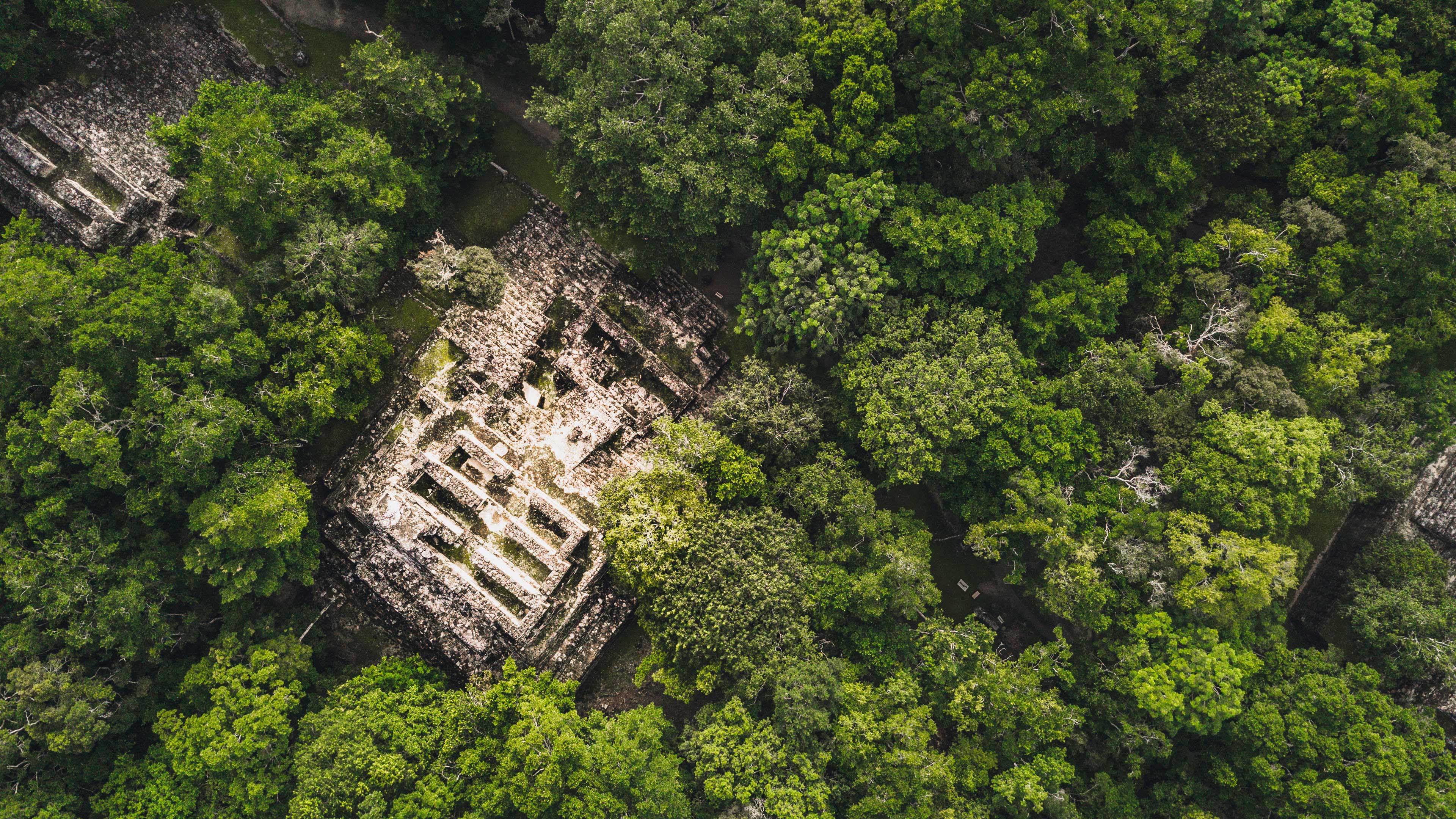 Se revelan secretos de Calakmul