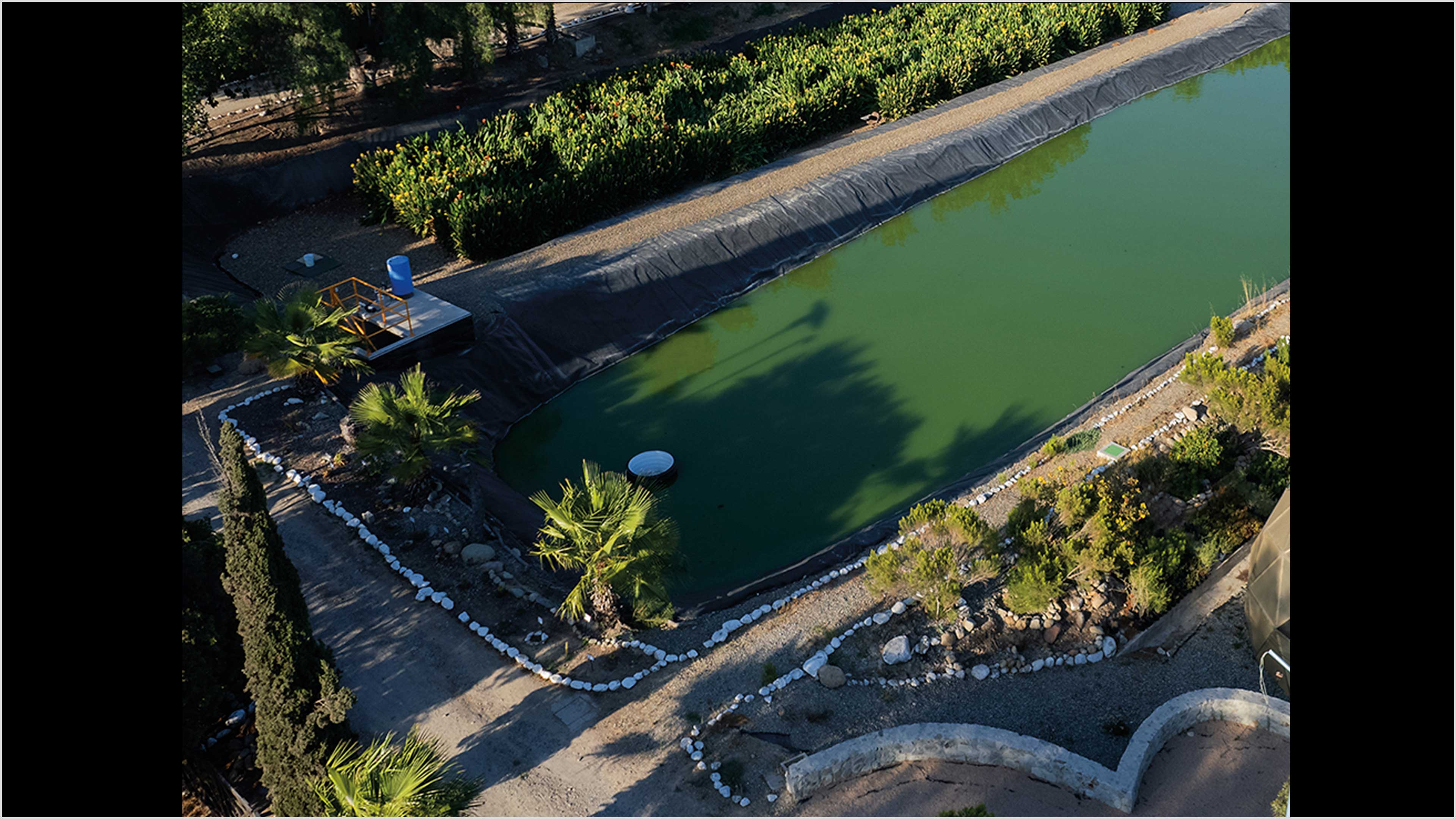 Imagen principal del artículo Una ladera verde