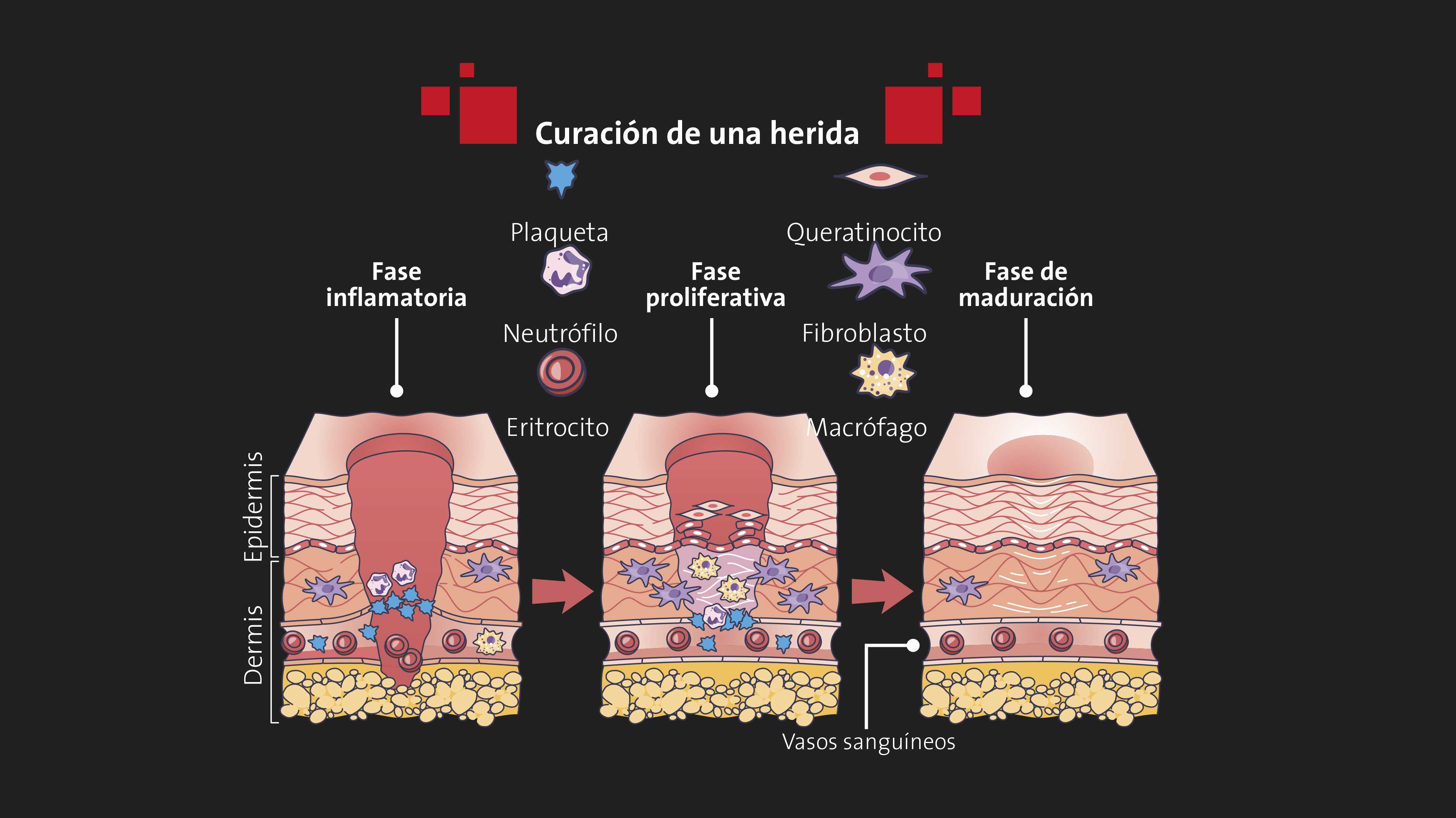 TanEntre tinta y agujas: La ciencia y la cultura de las modificaciones corporales