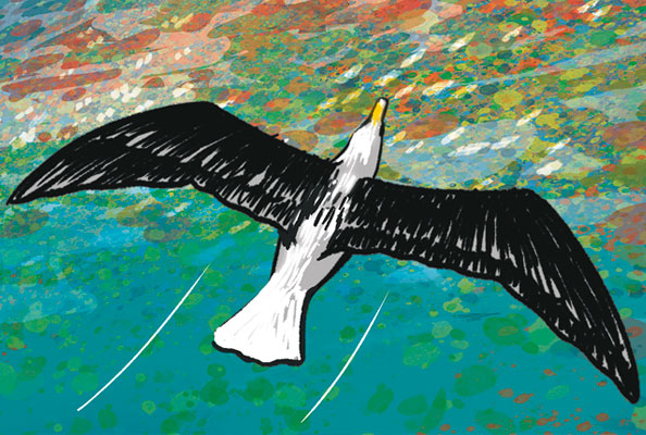 Imagen principal del artículo El futuro de las aves marinas en un mar de plástico