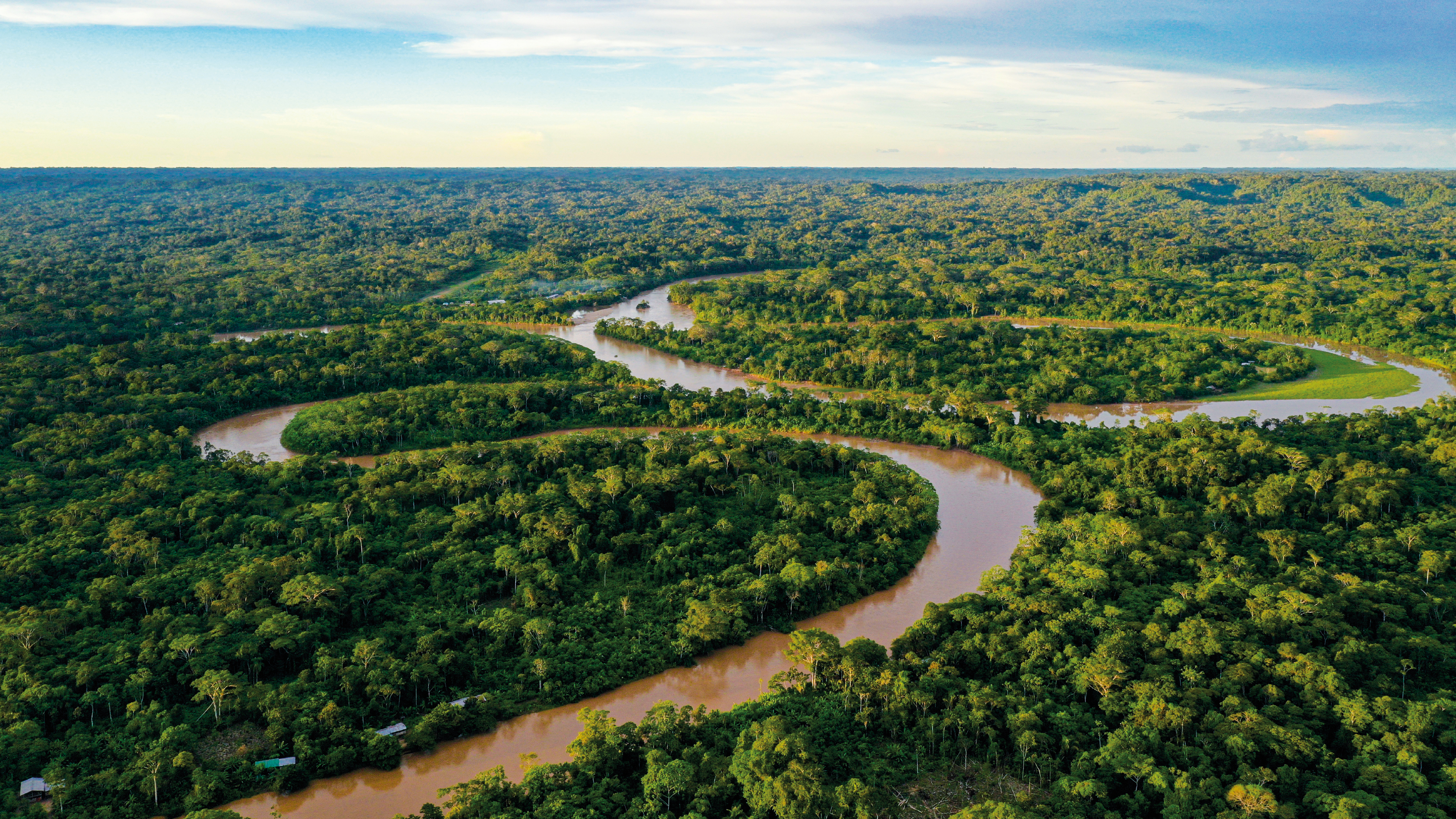 Futuro crítico para el Amazonas