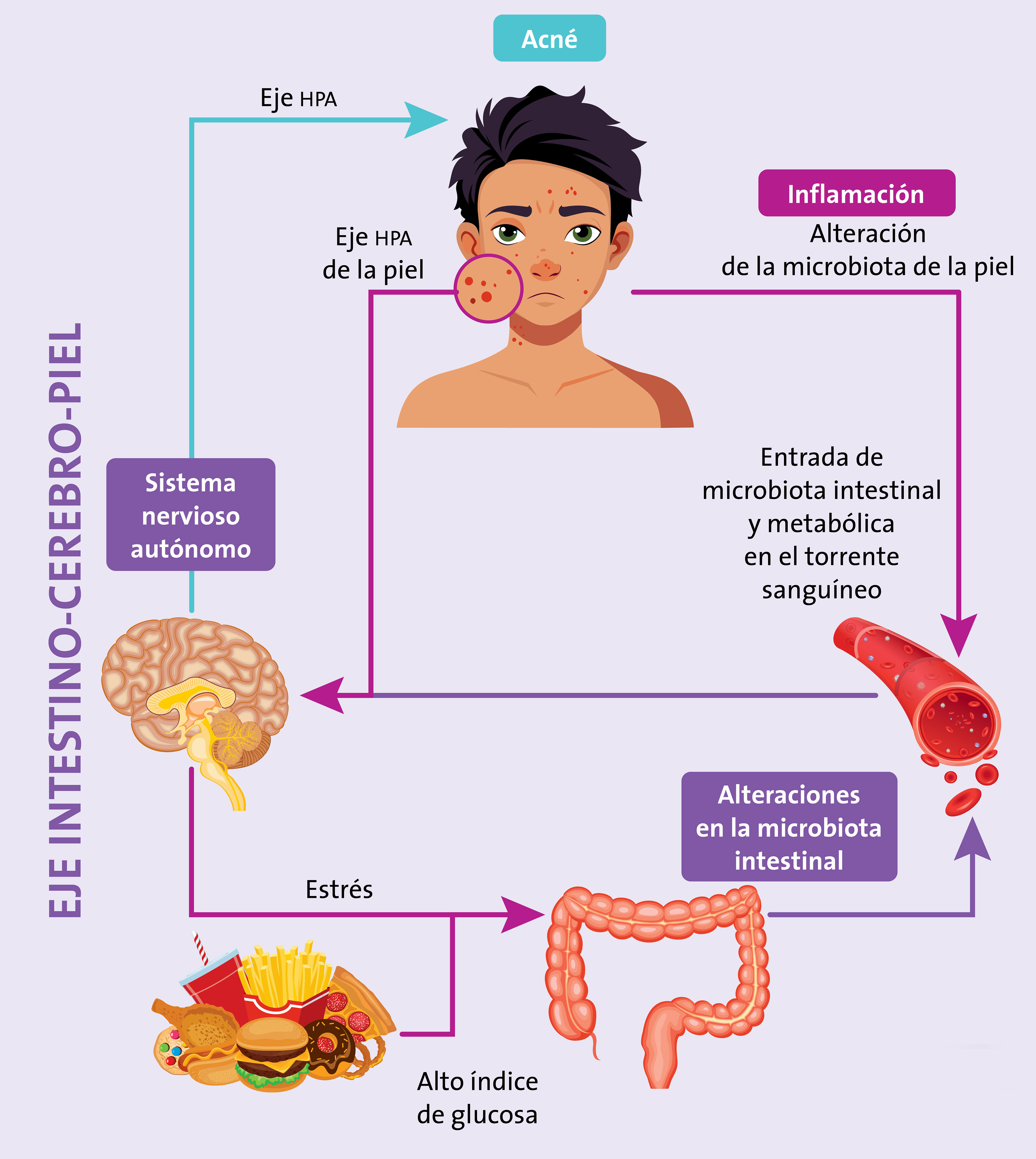 Caras vemos, microbiotas no sabemos