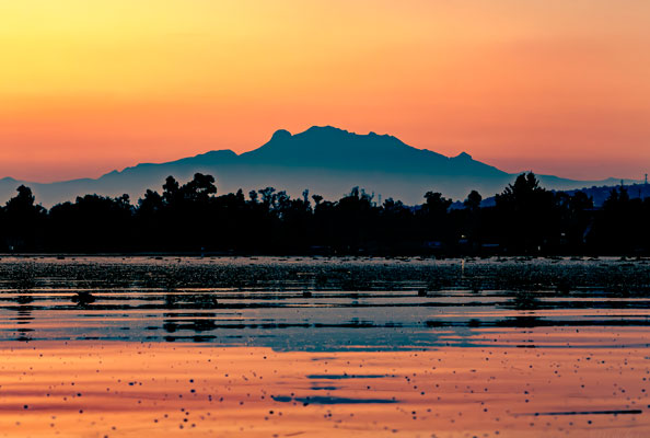 Imagen principal del artículo Amanecer xochimilca