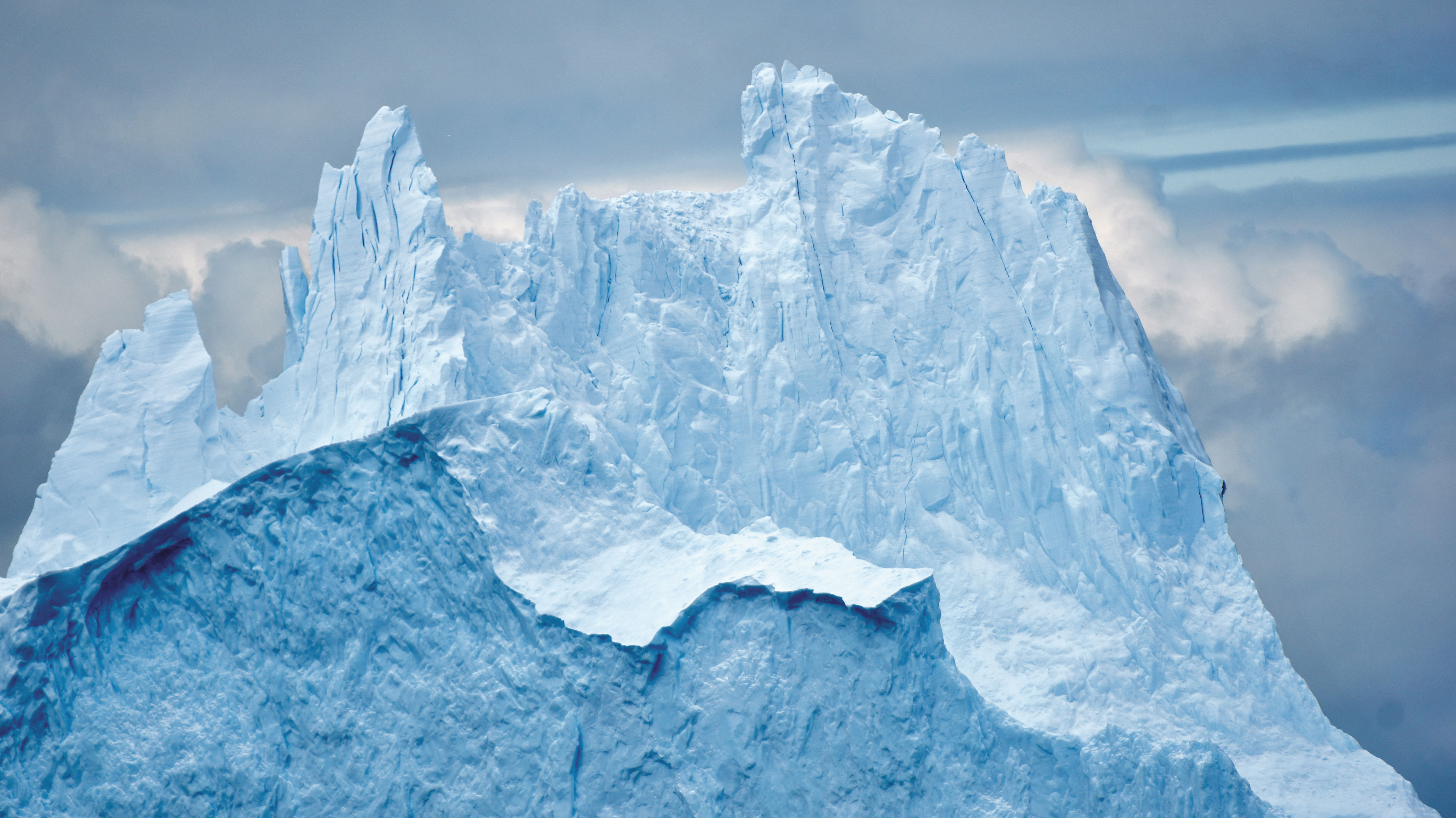 Imagen principal del artículo A menos hielo, menos vida