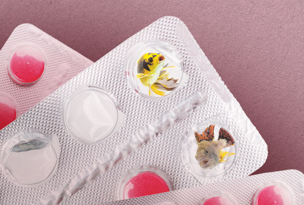 Imagen principal del artículo Peces y prozac