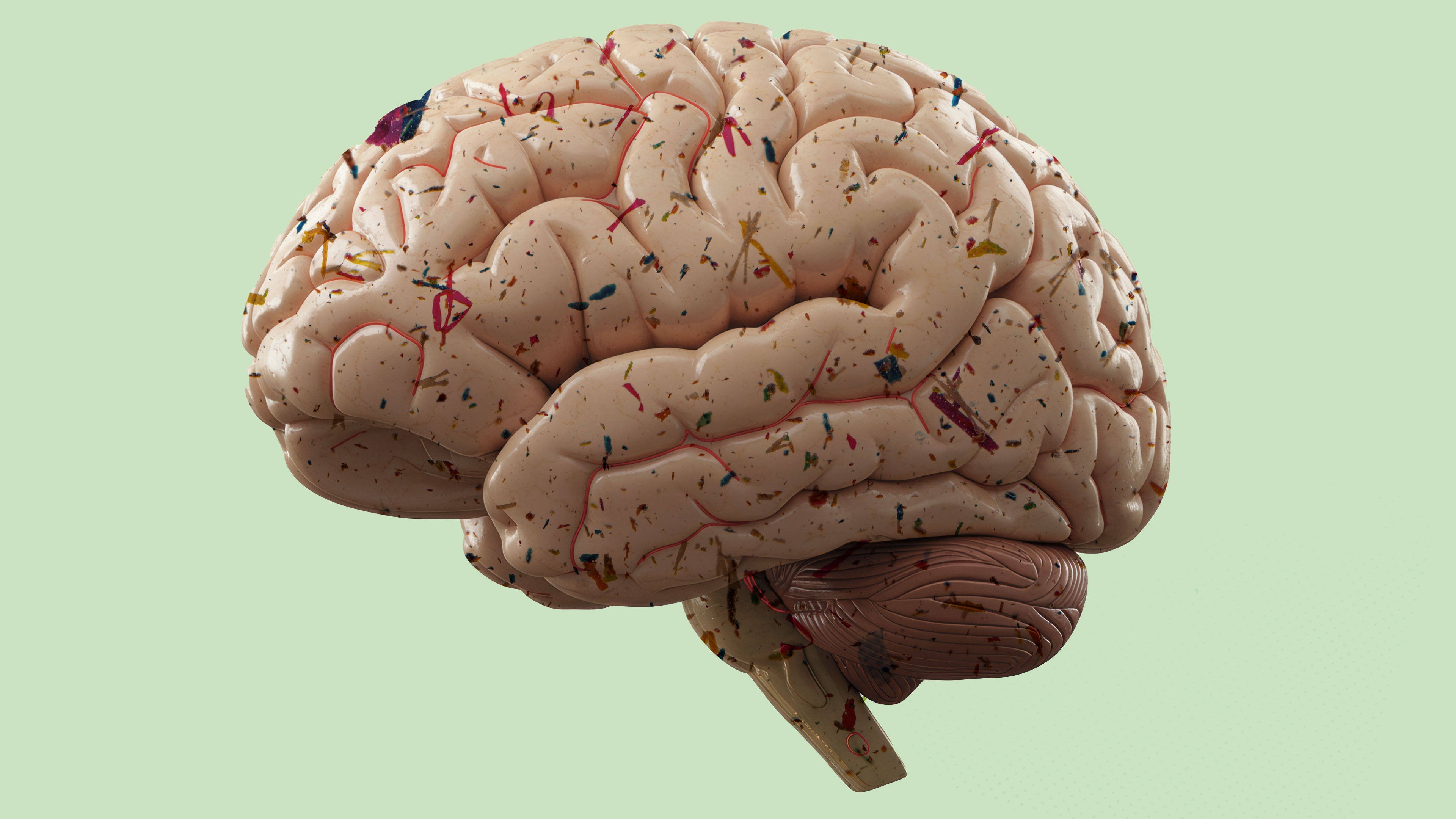 Microplásticos en el cerebro