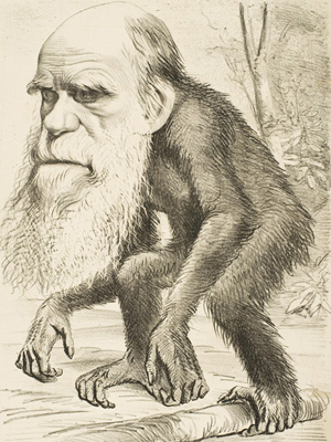 Imagen de Origen y evolución del ser humano