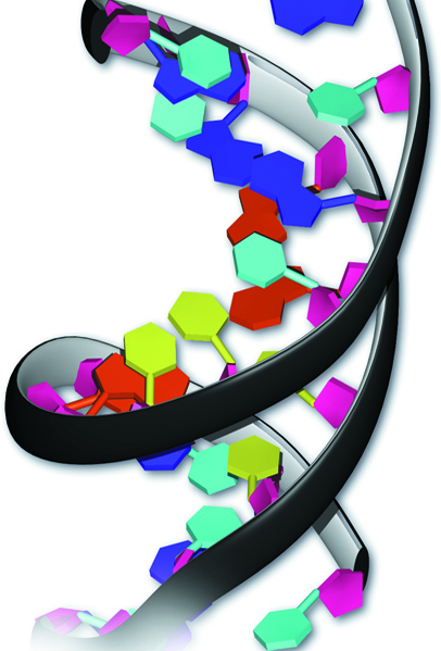 Imagen de El genoma humano