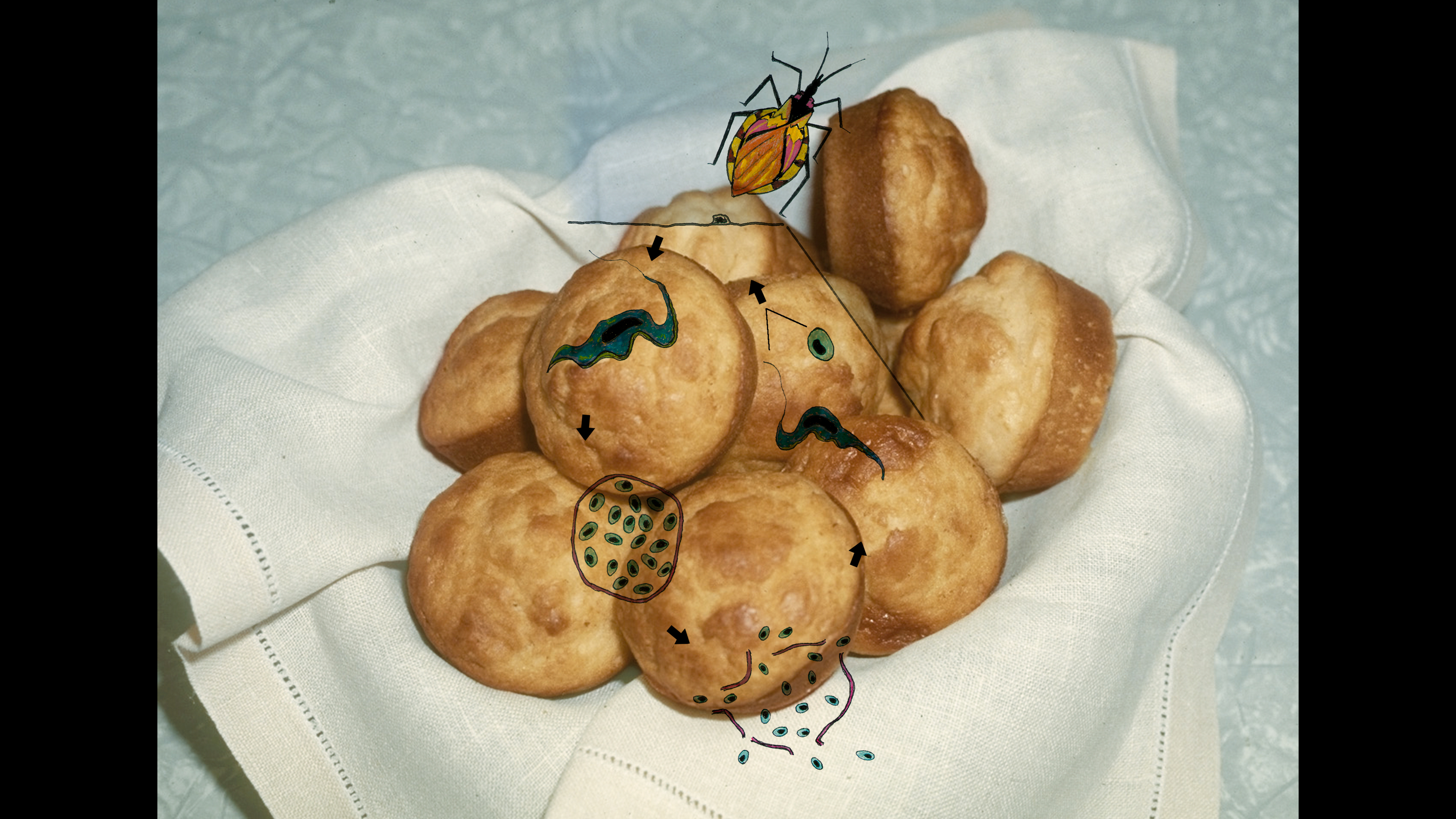 Pan dulce ¿dietético?