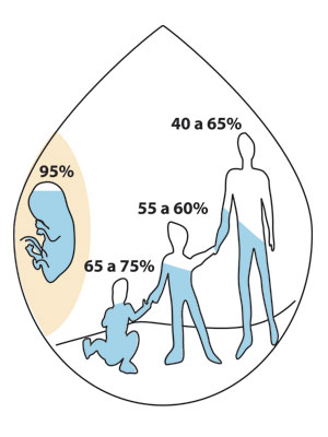 Imagen principal del artículo El agua como recurso*