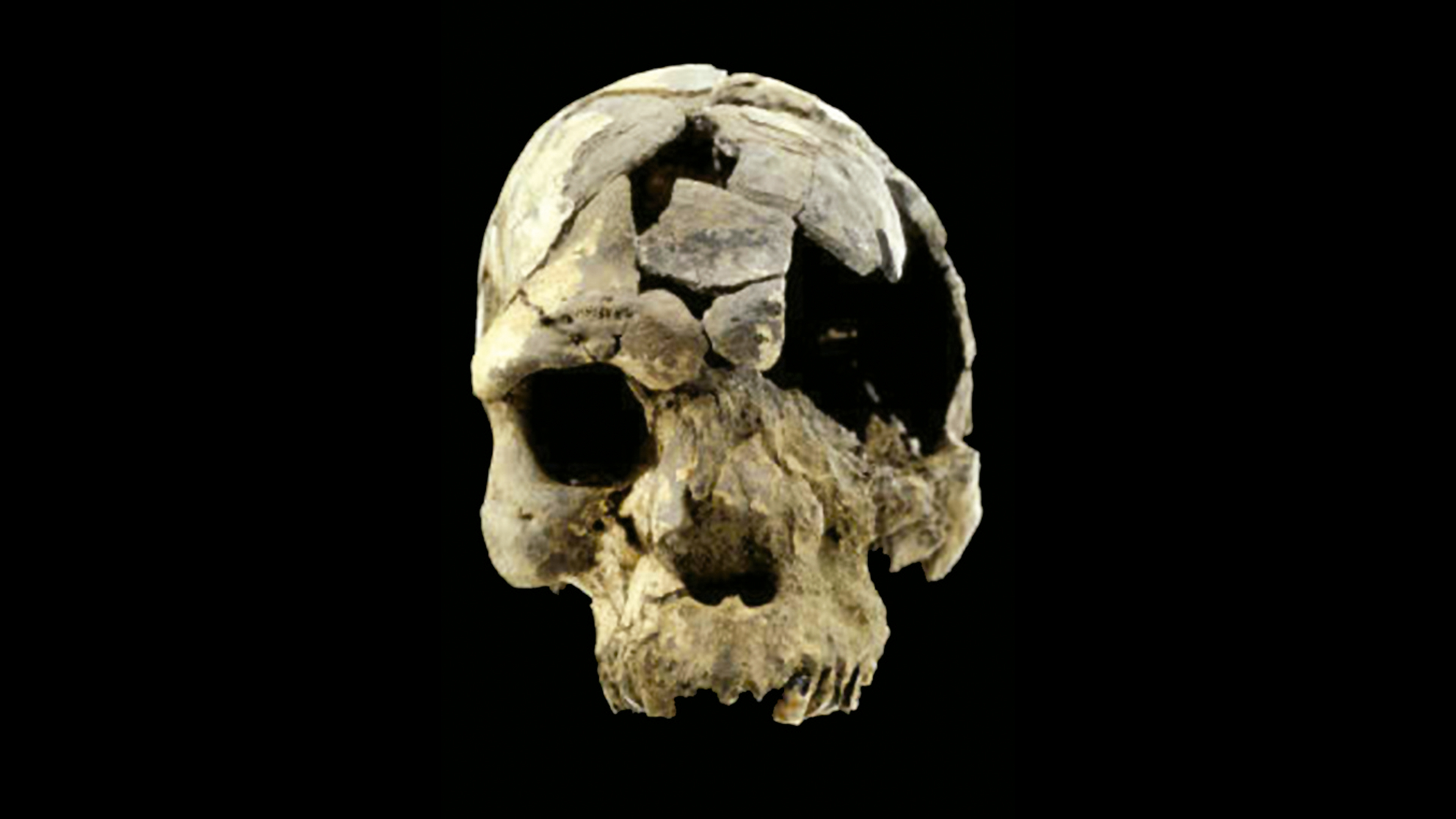 Nuestra cara en un espejo de 160 mil años