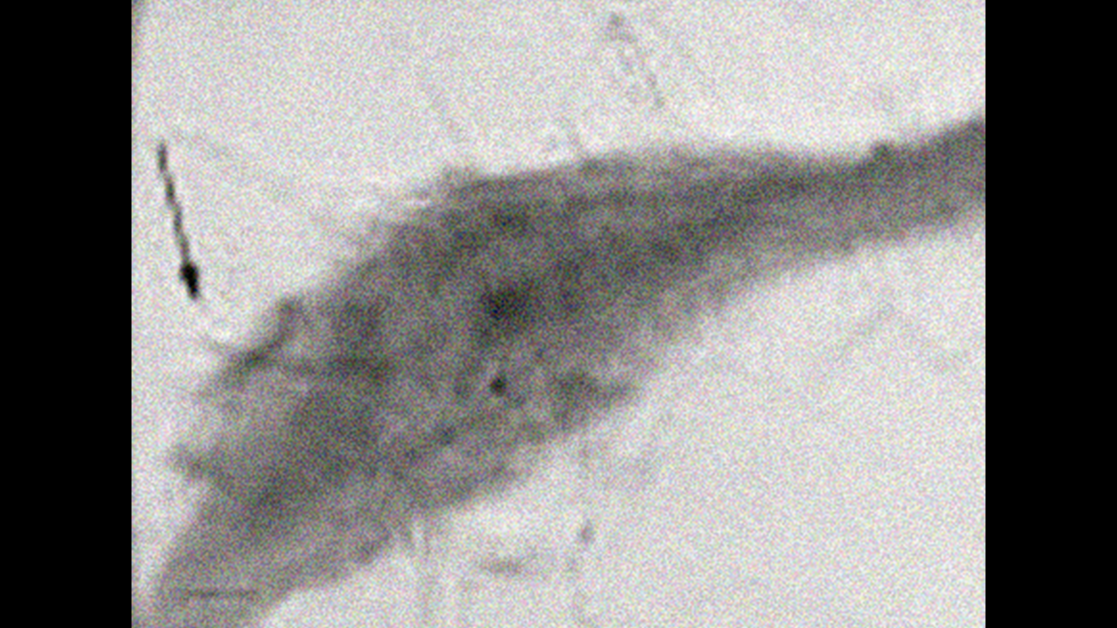 Los genes de una bacteria