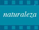 Imagen principal del artículo La naturaleza es como una buena película