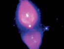 Imagen principal del artículo Astronomía de pasillo