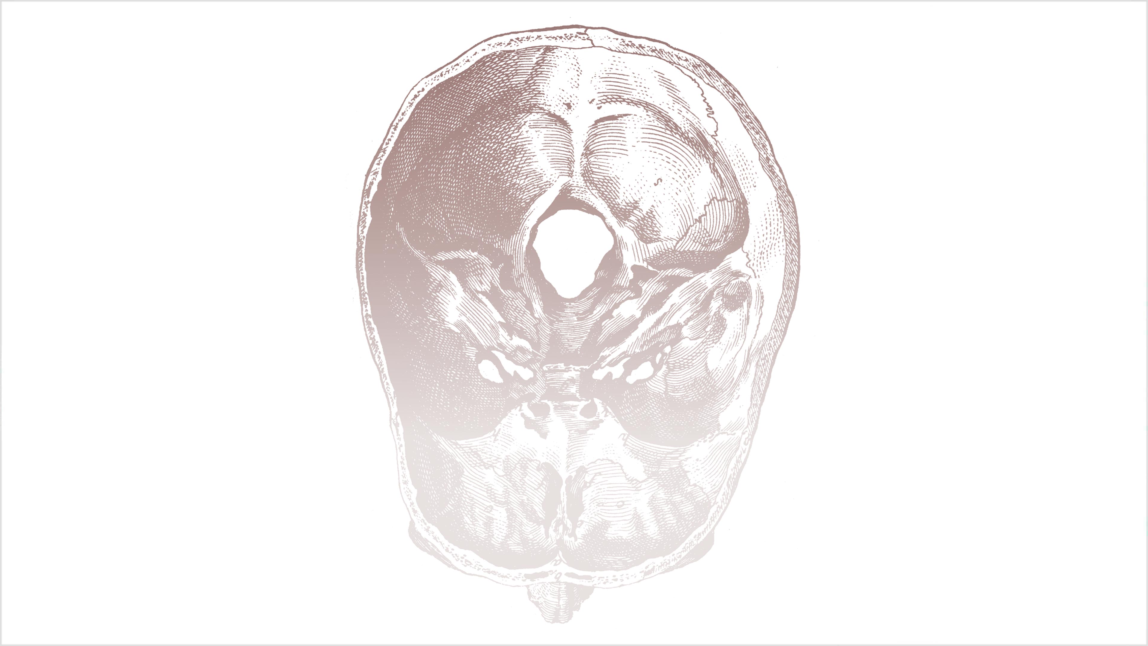 Las tareas del cerebro