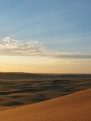 Imagen principal del artículo La vida en el Namib
