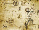 Imagen principal del artículo Leonardo da Vinci: la obsesión por volar*