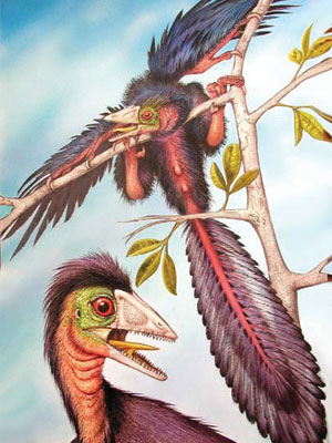 Imagen principal del artículo Dinosaurios con plumas*