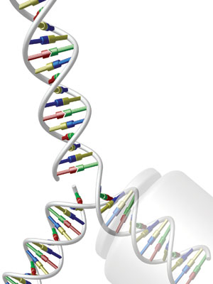 Imagen de La medicina genómica: cómo interpretar el libro de la vida