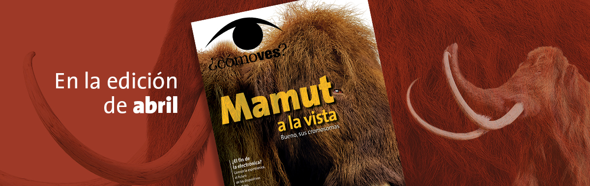 Imagen de portada del mes