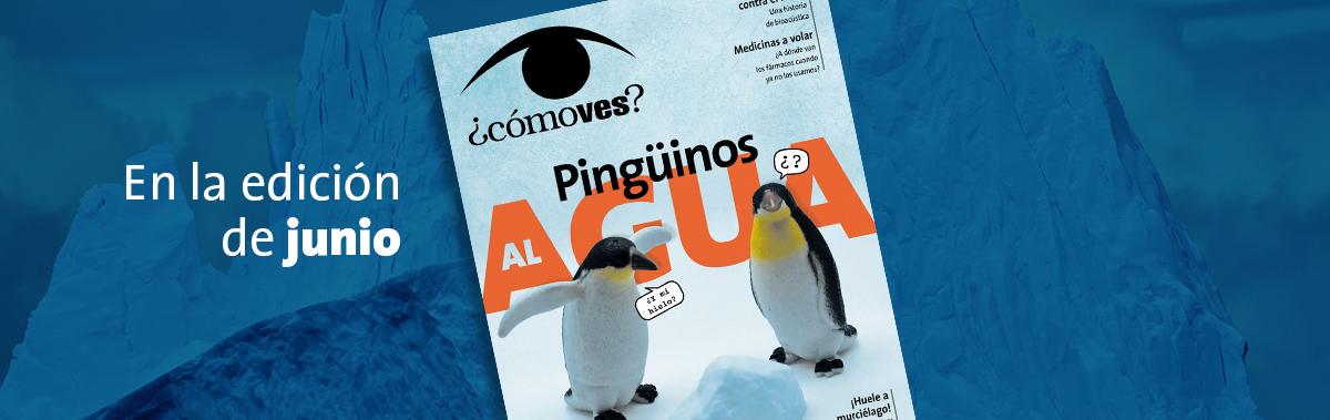 Imagen de portada del mes