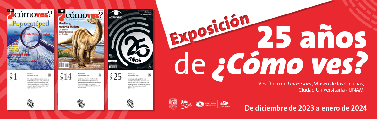 Imagen de promoción de la revista